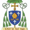 Homily of Bishop William Crean - St. Patrick's Day 17th March 2024